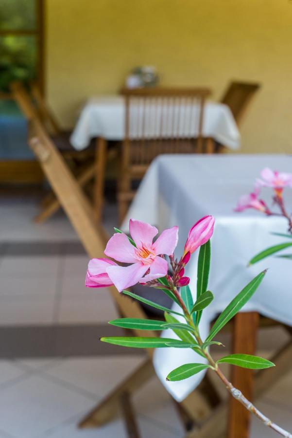 Bed and Breakfast Regia Panzio Halászi Exteriér fotografie